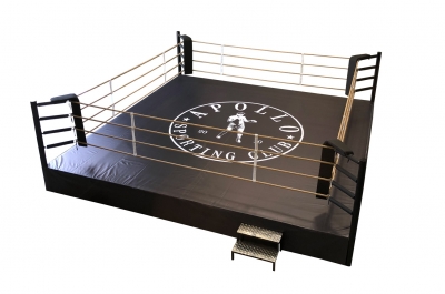 Stedyx PVC boxing ring canvas