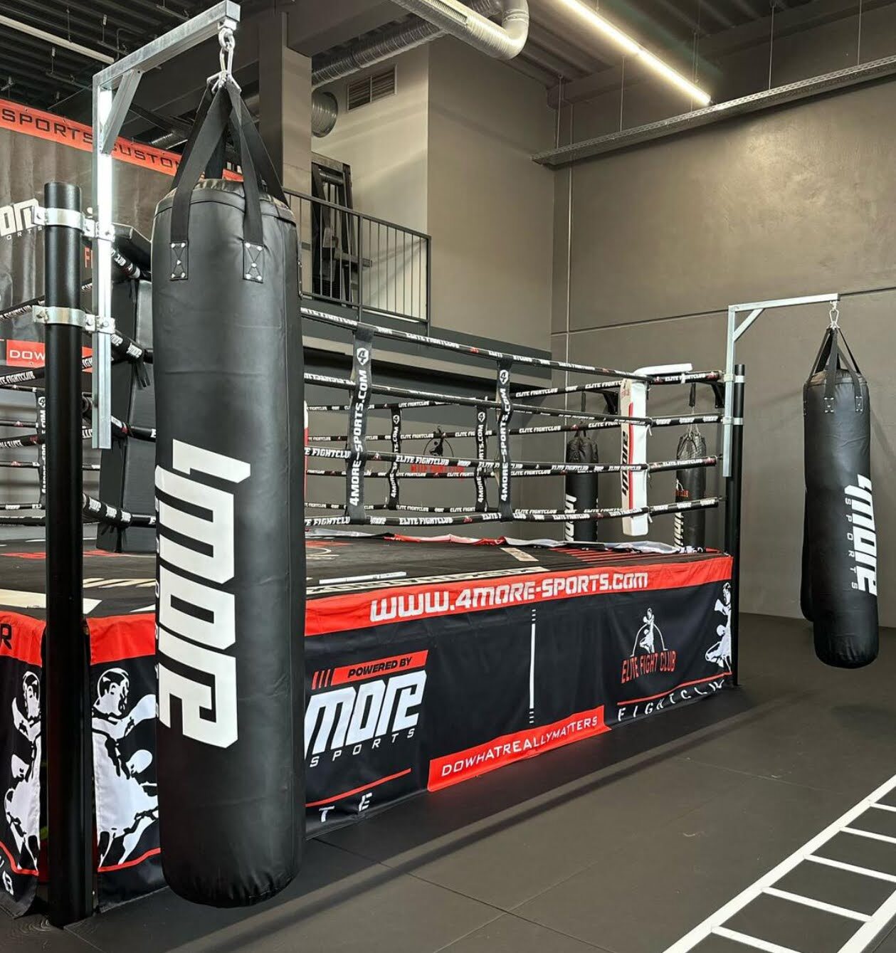 Elite Fight Club — Boxing ring · Germany