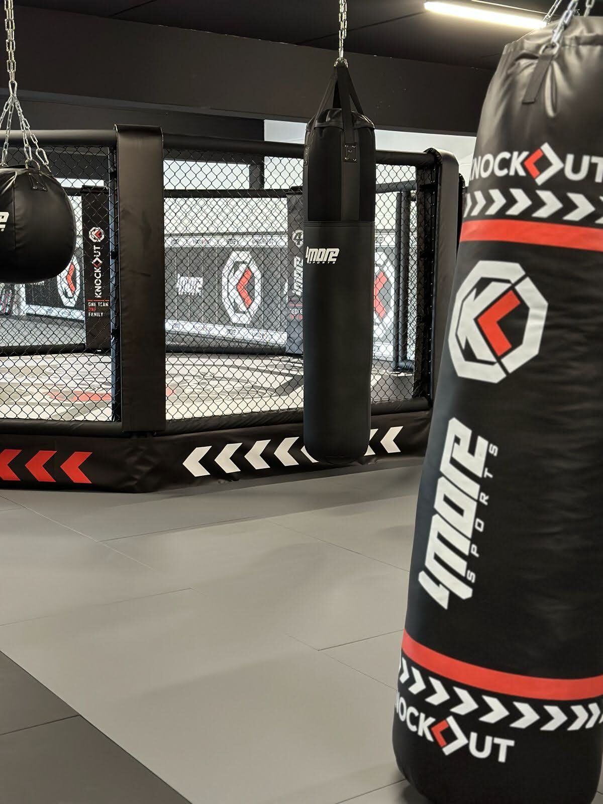 Knockout — Training MMA cage