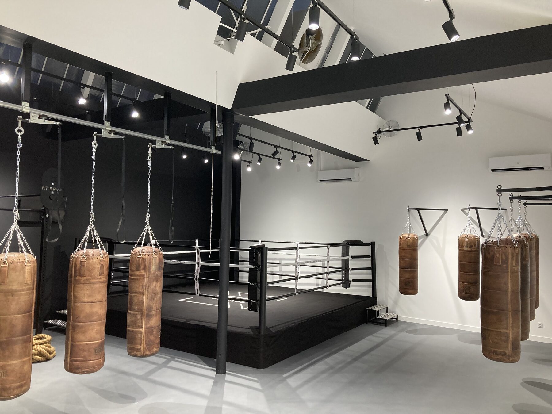 Boxing ring — Studio with bags