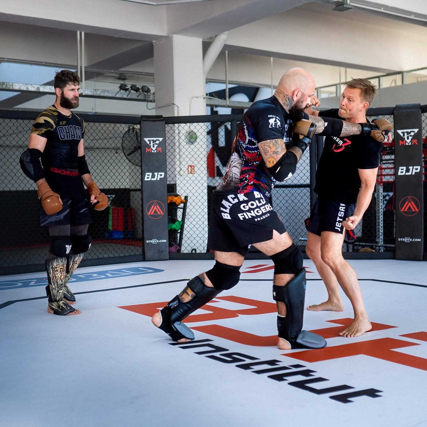 BJP Institut — MMA cage · Brno