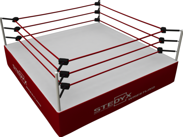 Wrestling ring | Premium Manufacturer of Martial arts & Boxing, MMA  Equipments | STEDYX