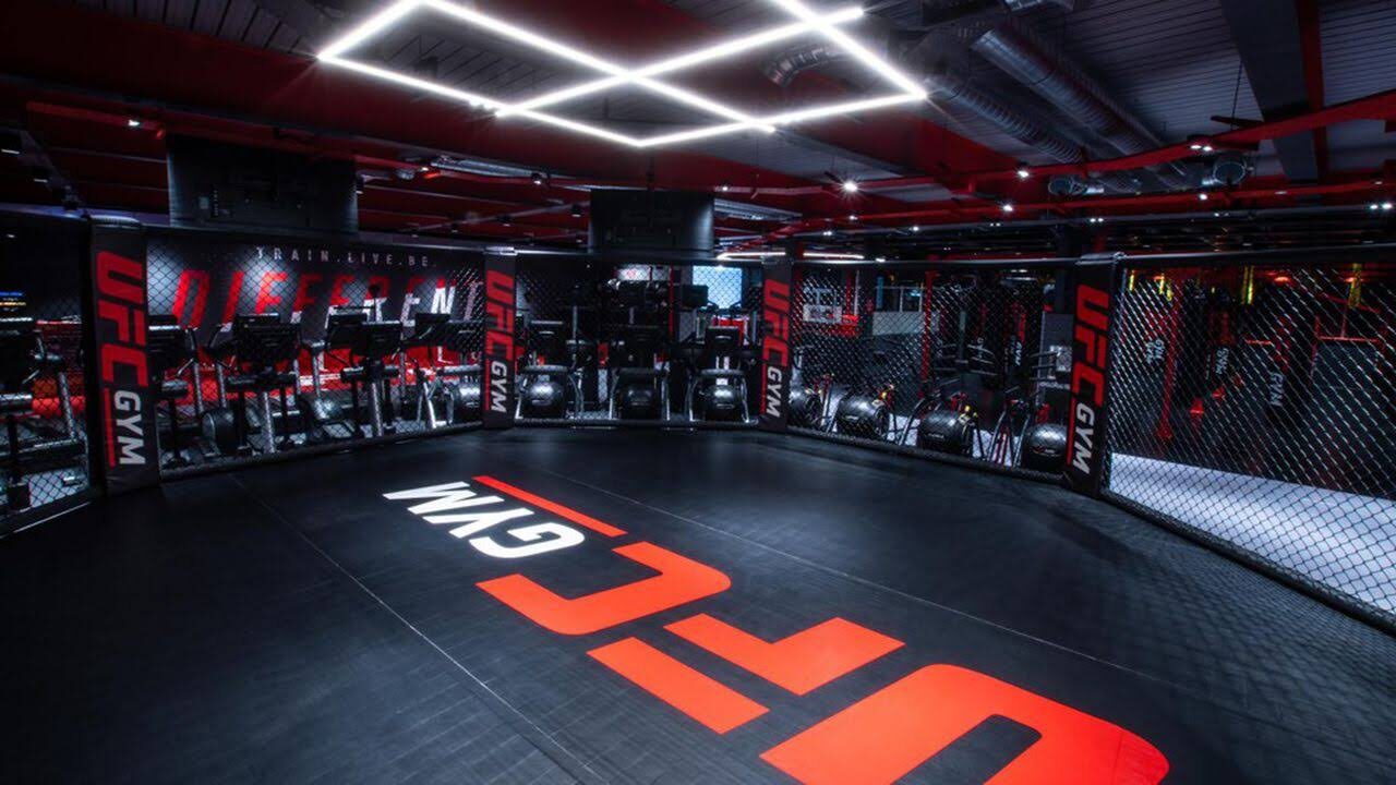 UFC Gym — Training MMA octagon