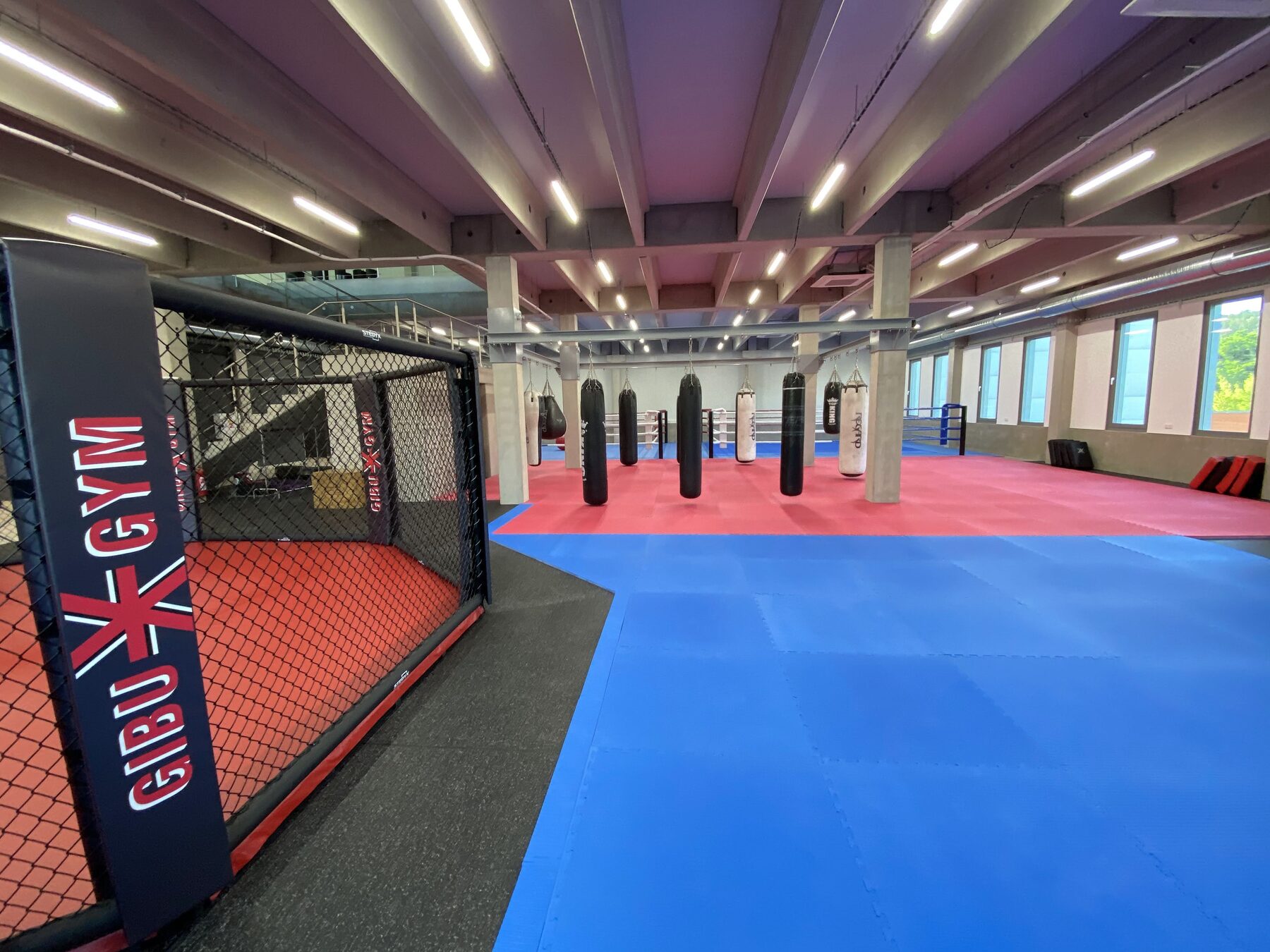 Boxing ring — Club installation