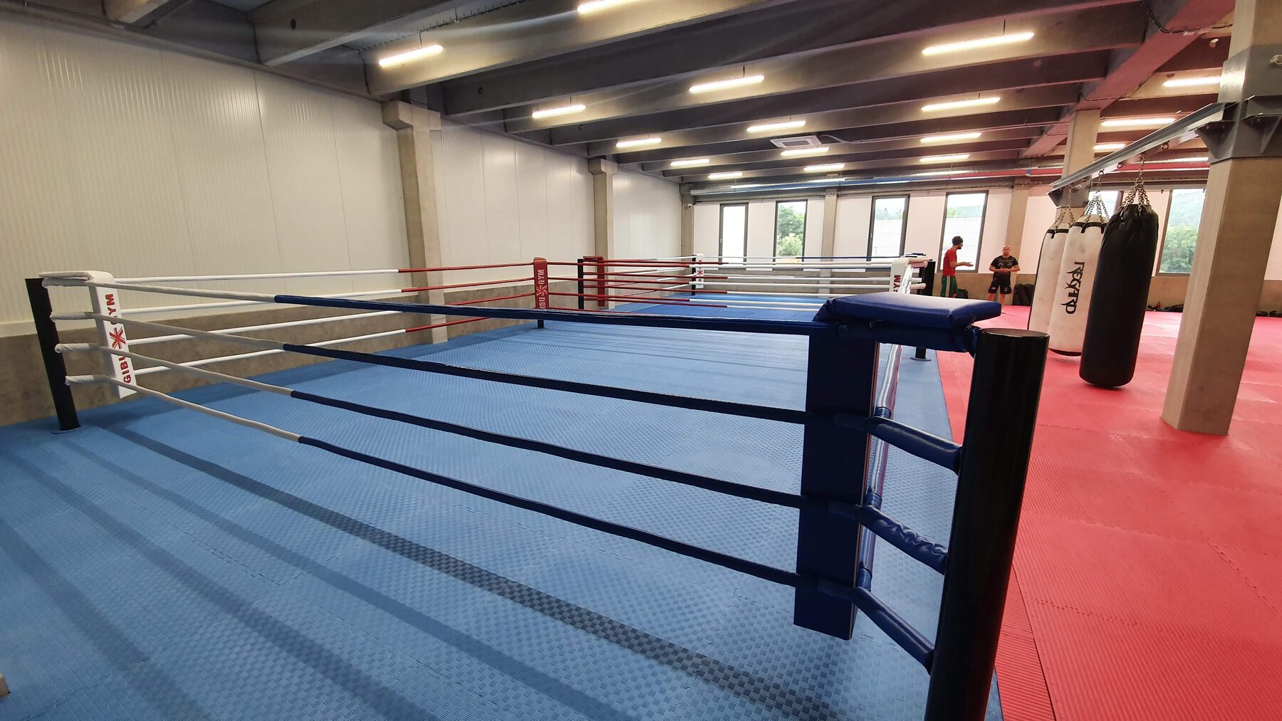 Boxing ring — Training gym
