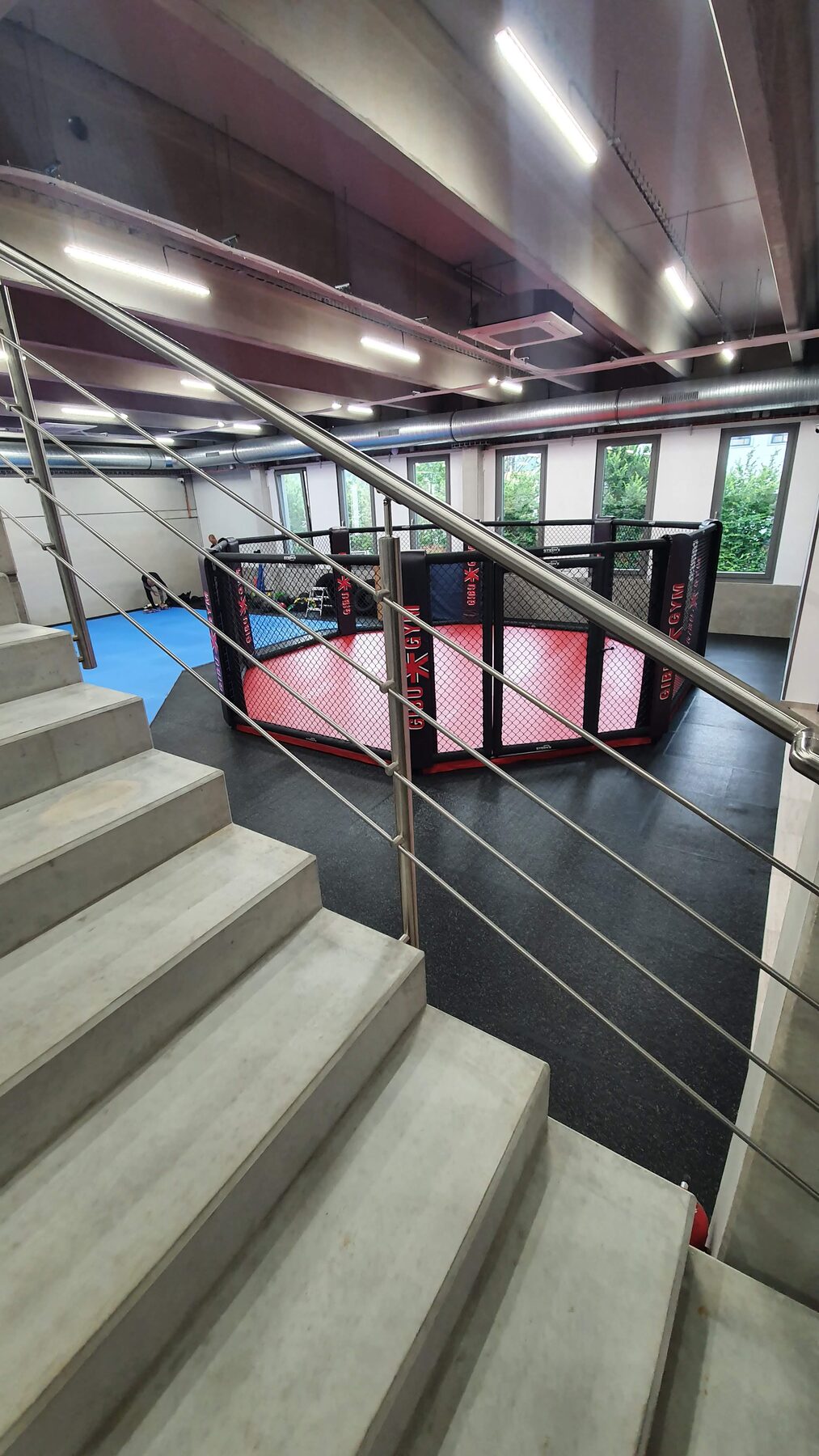 Boxing ring — Training gym