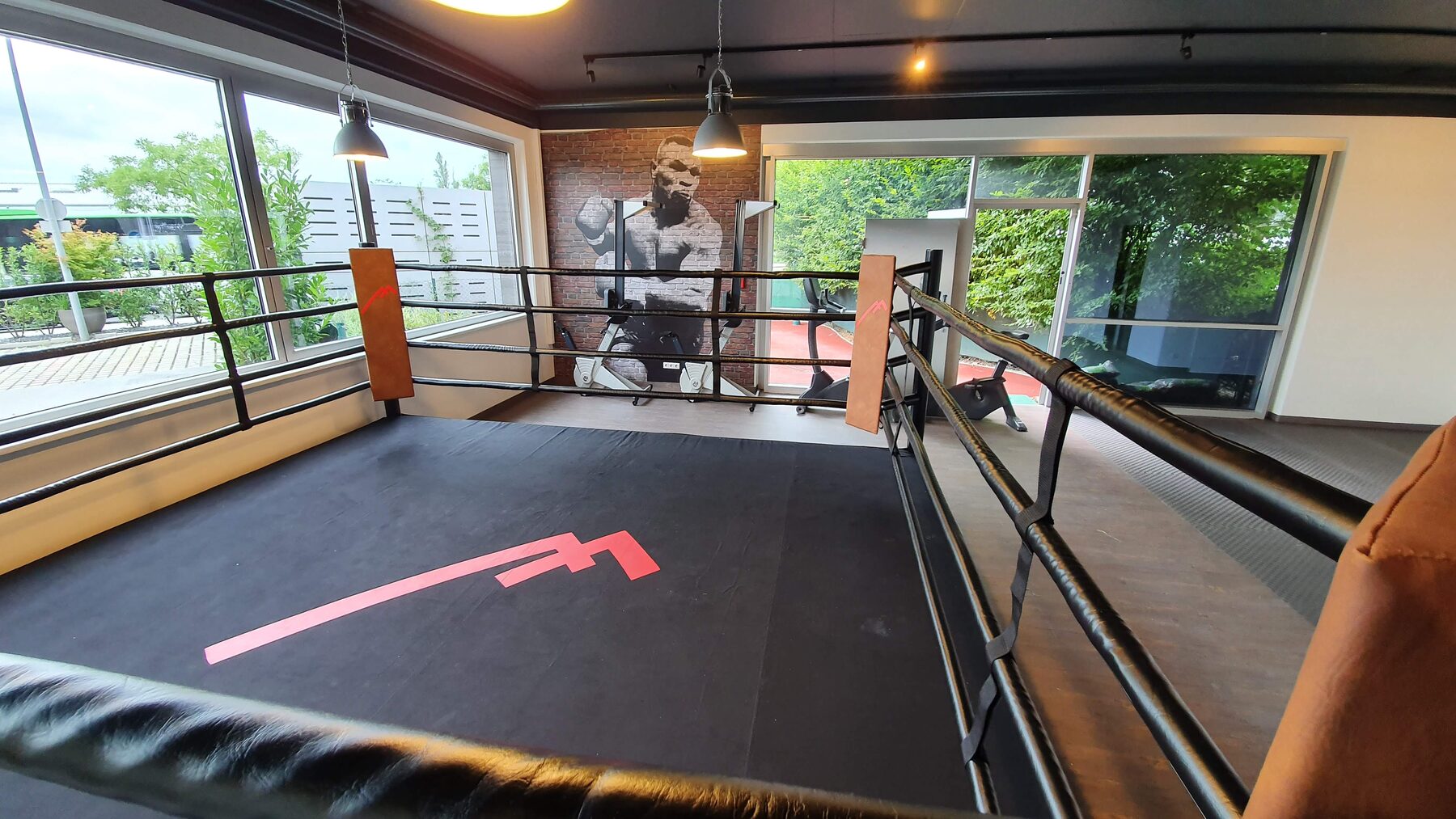 Boxing ring — Club installation
