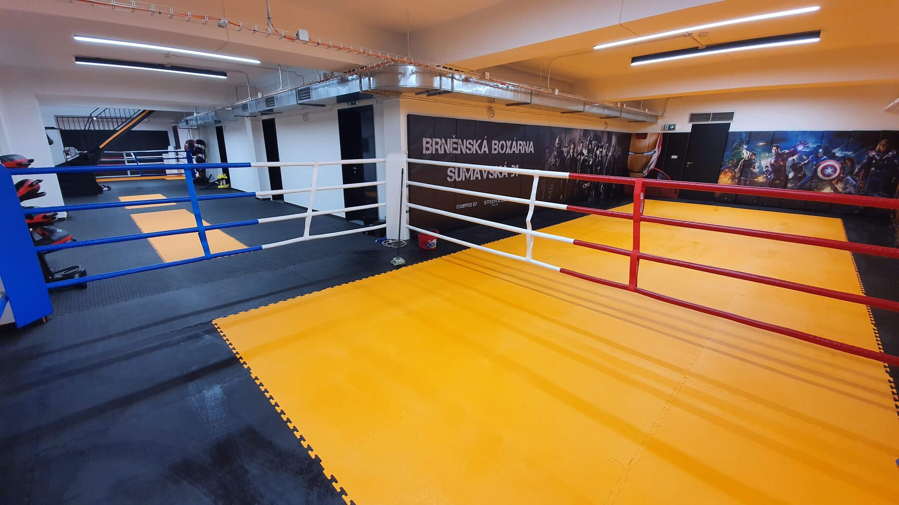 Boxing ring — Club installation