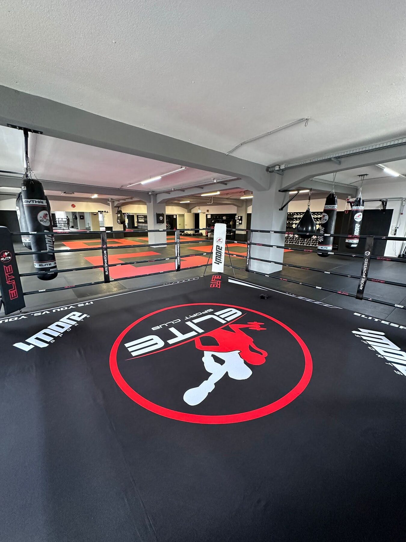 Boxing ring — Club installation