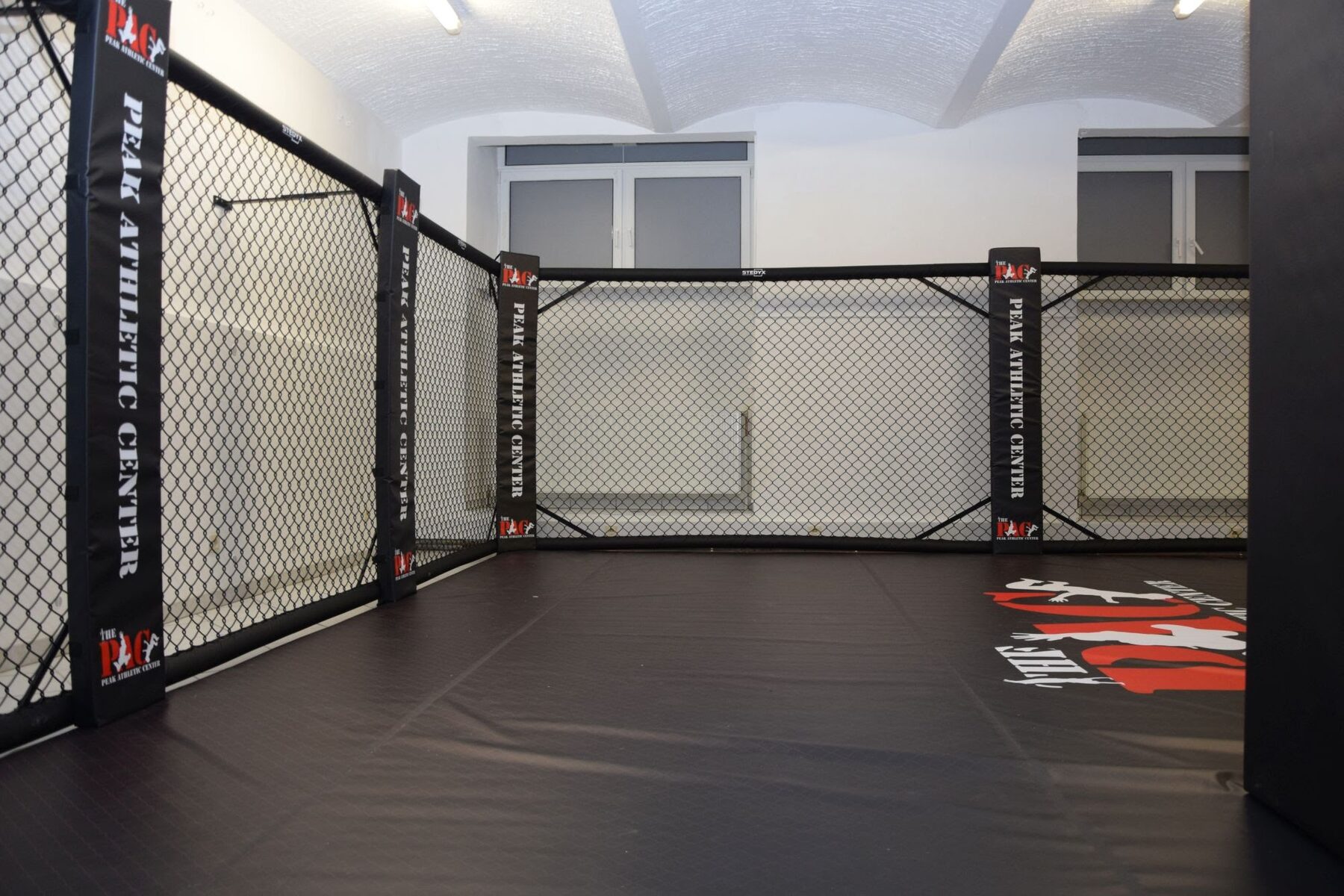 Boxing ring — Training gym