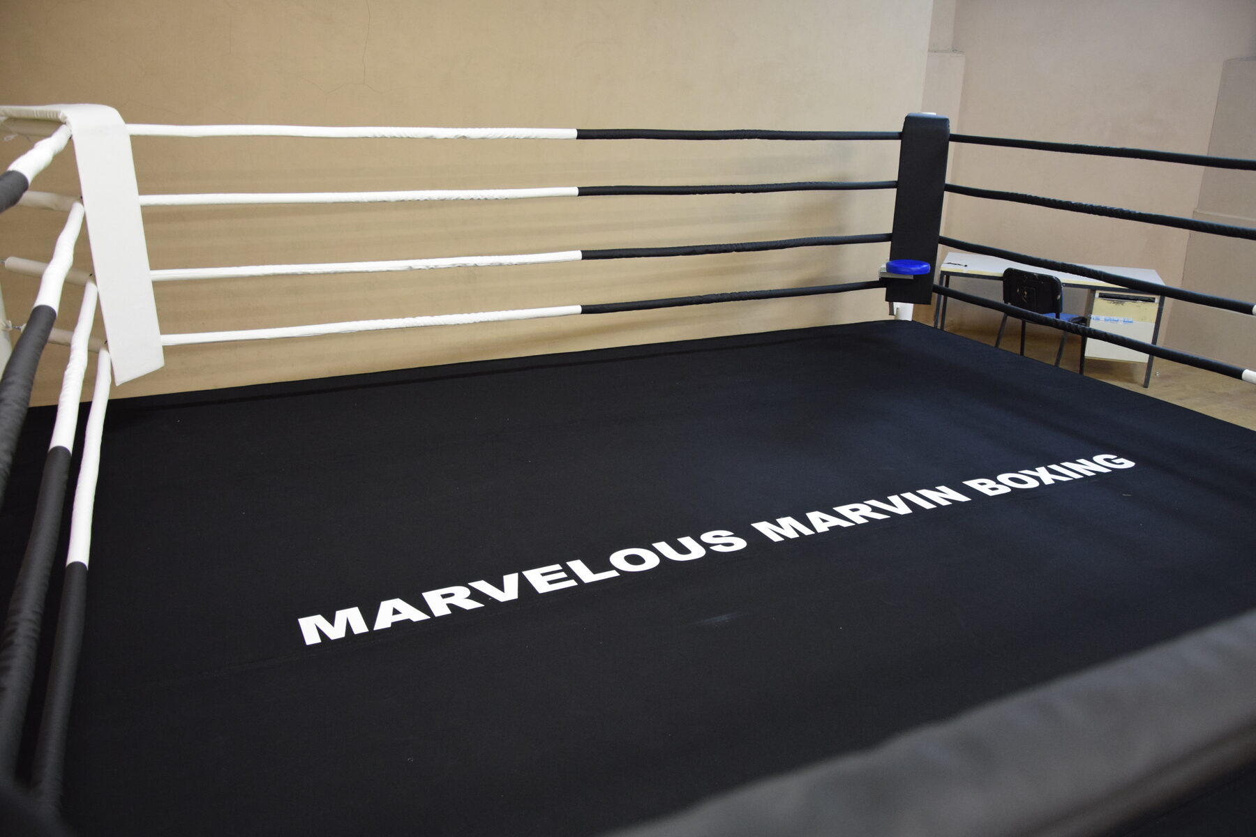 MMA cage — Training gym