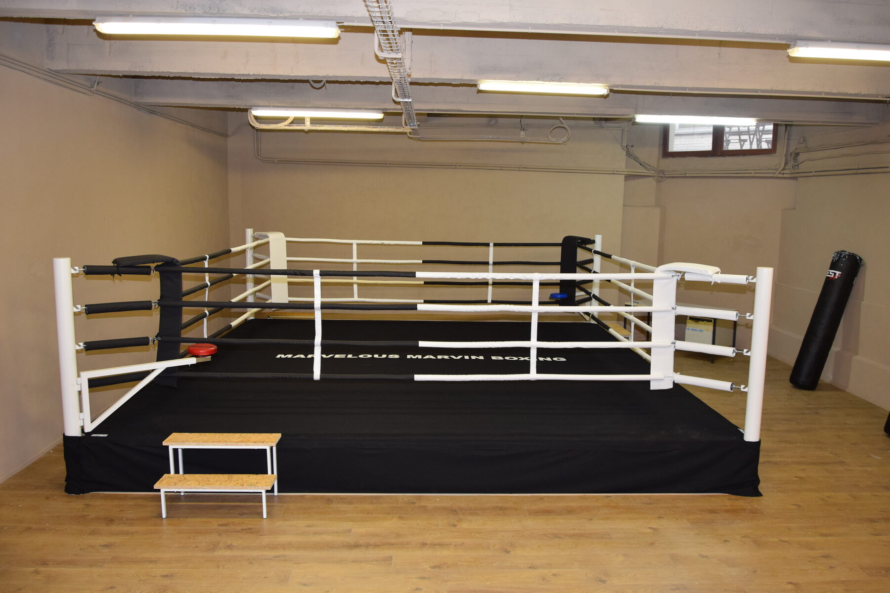 MMA cage — Training gym
