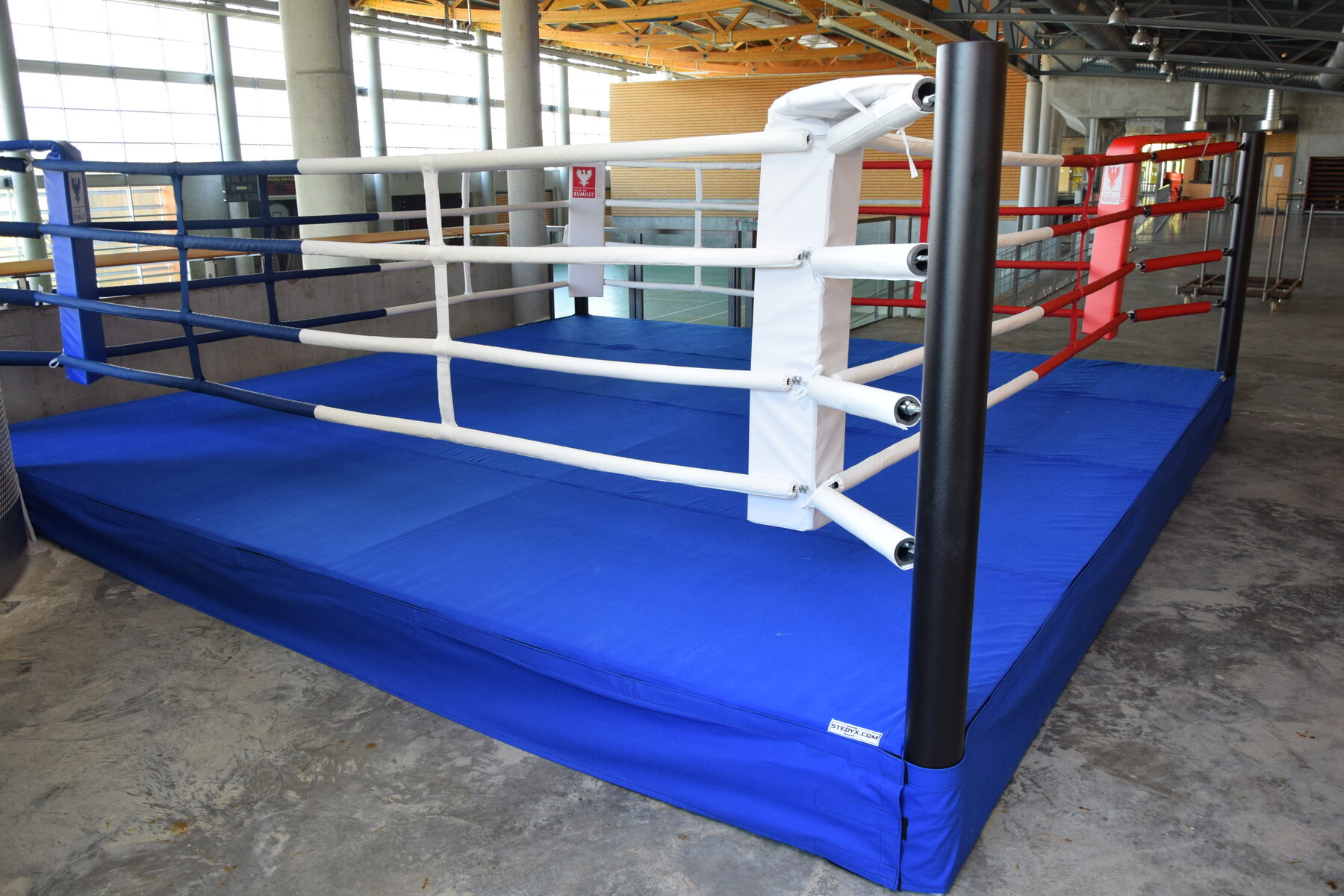 MMA cage — Training gym