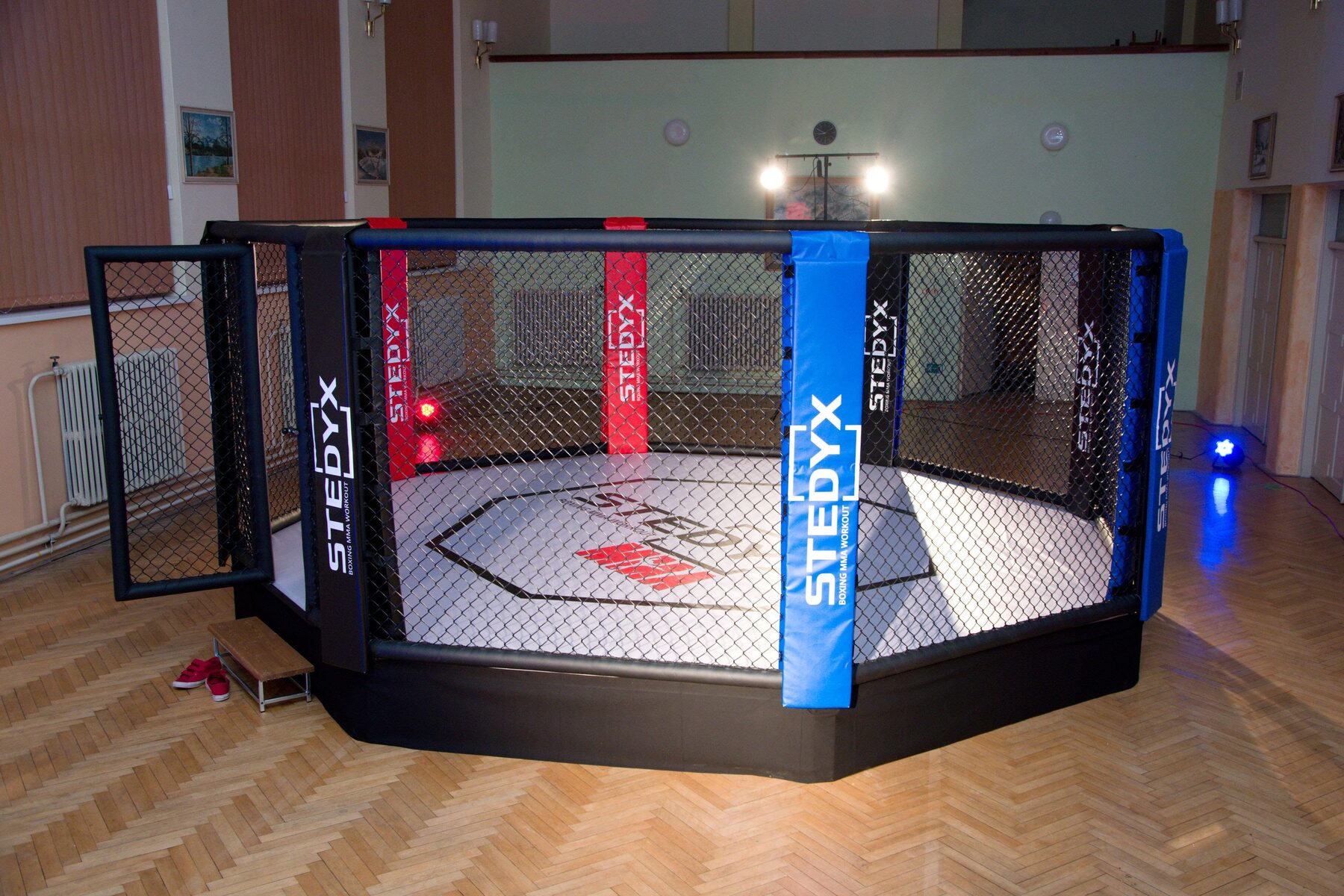 MMA cage — Training gym