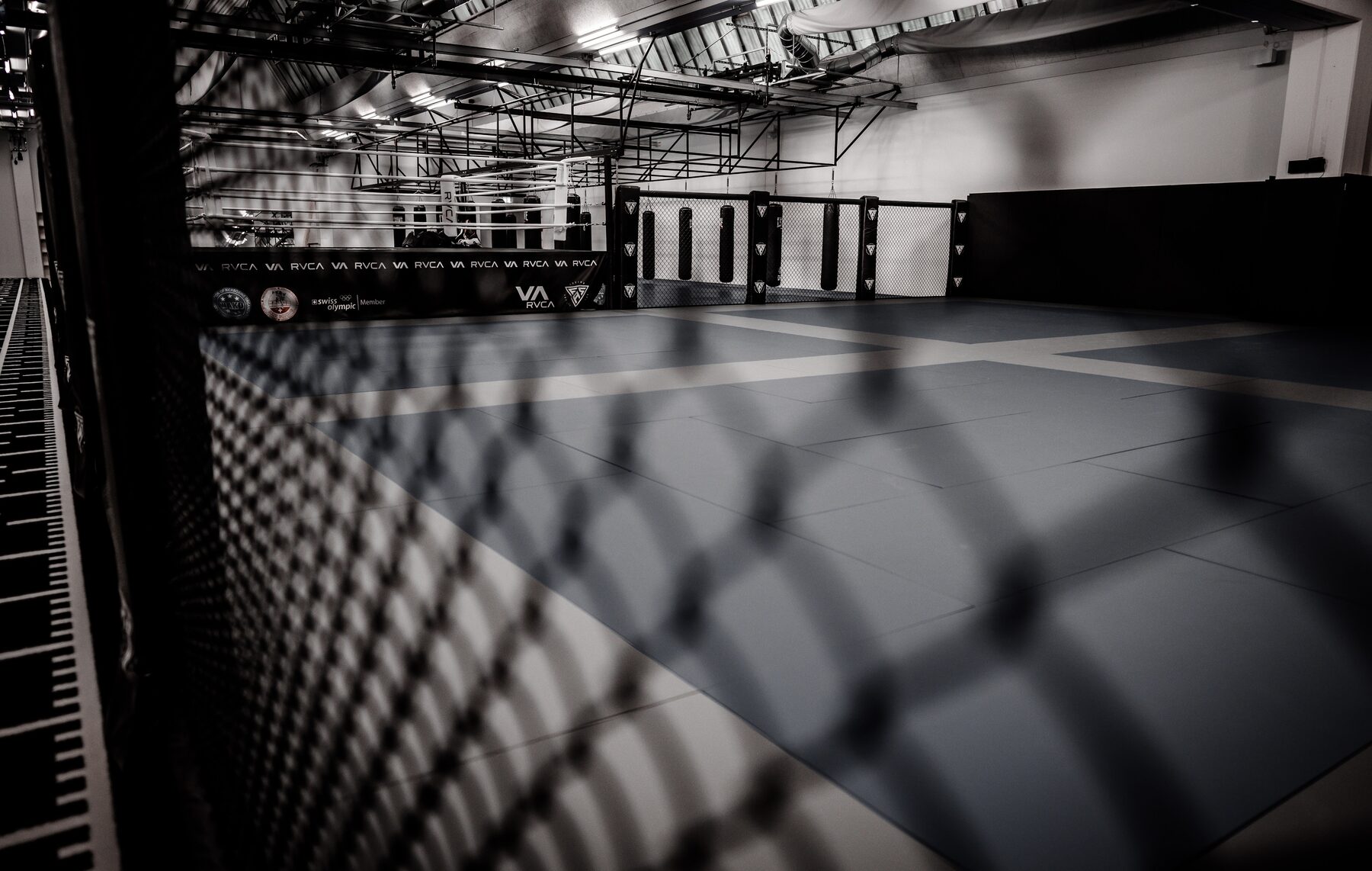 Competition boxing ring — Arena