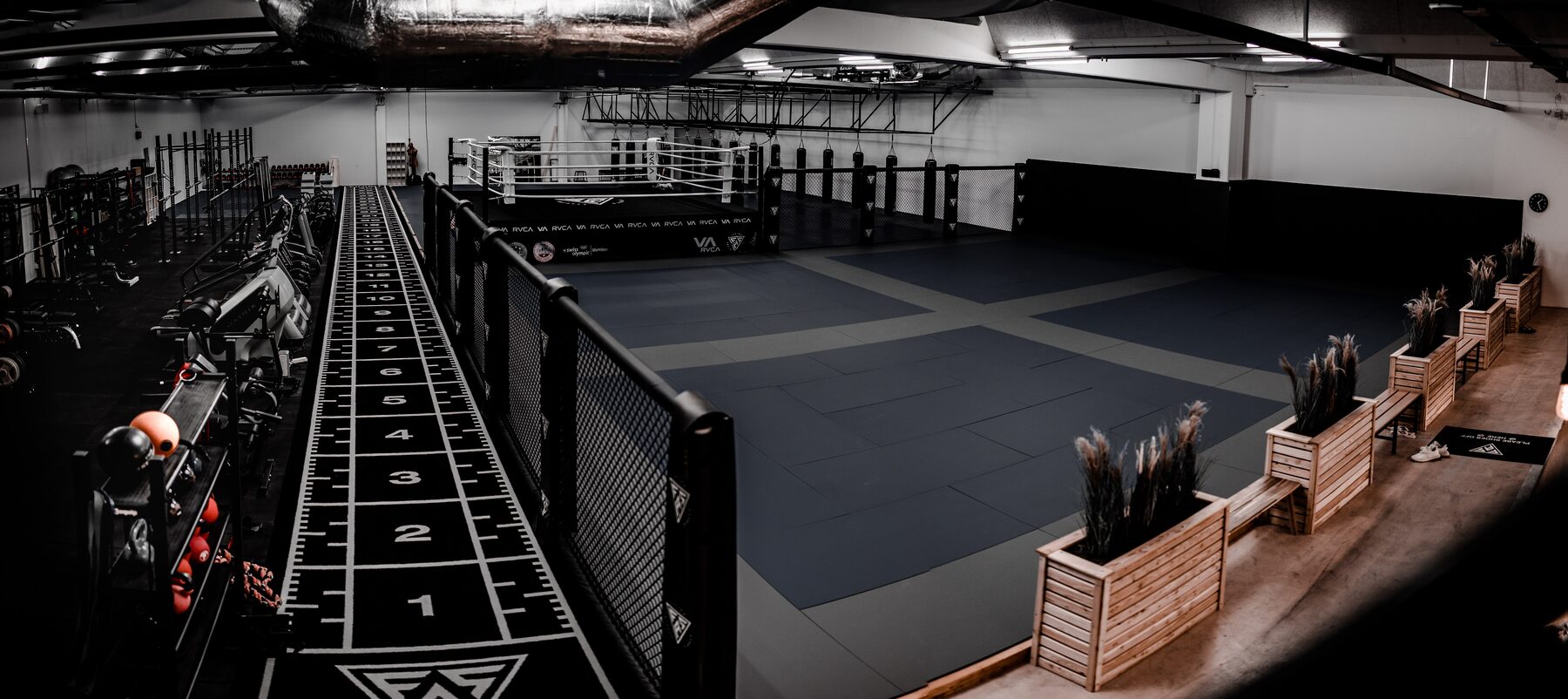 Competition boxing ring — Arena
