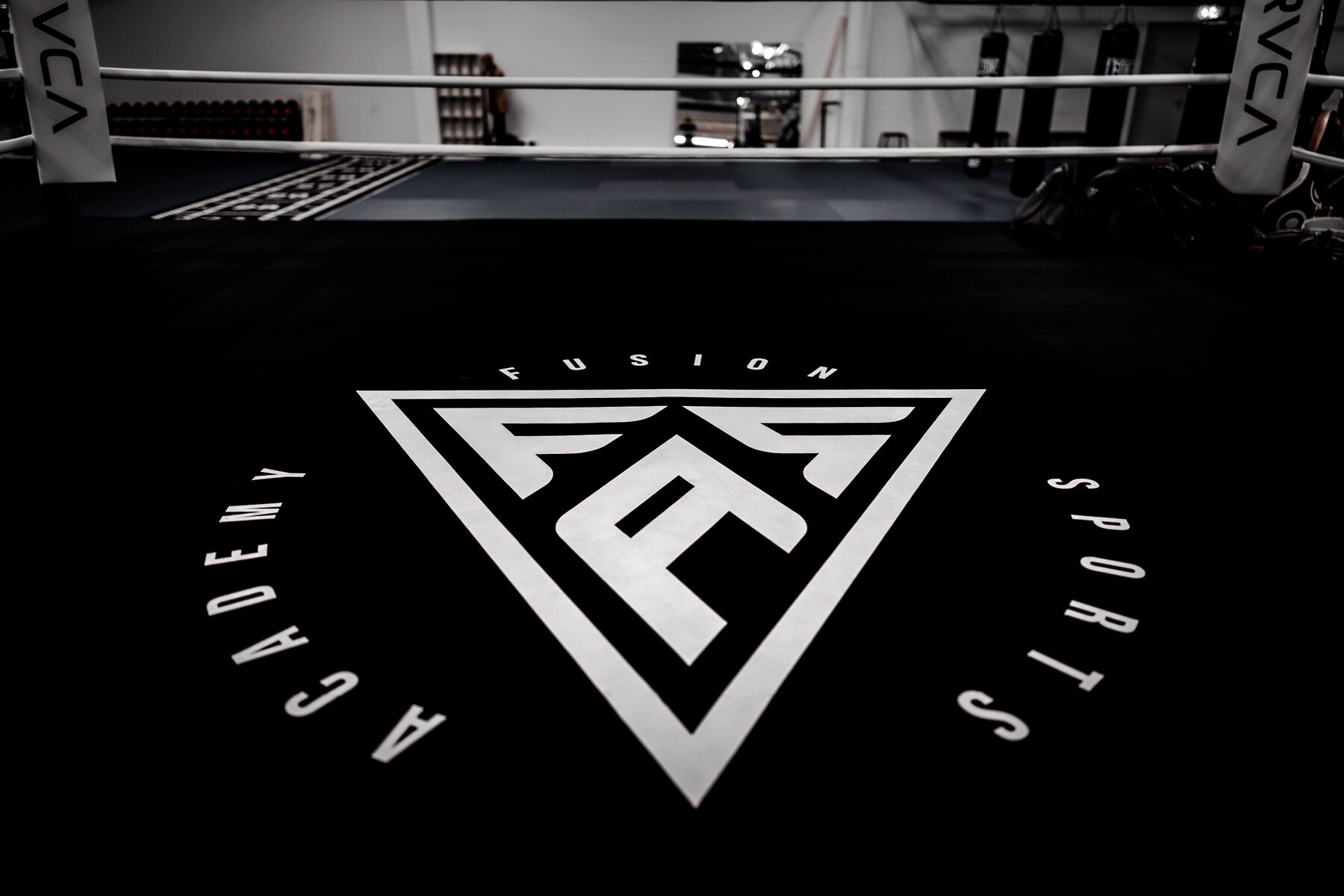 Competition boxing ring — Arena