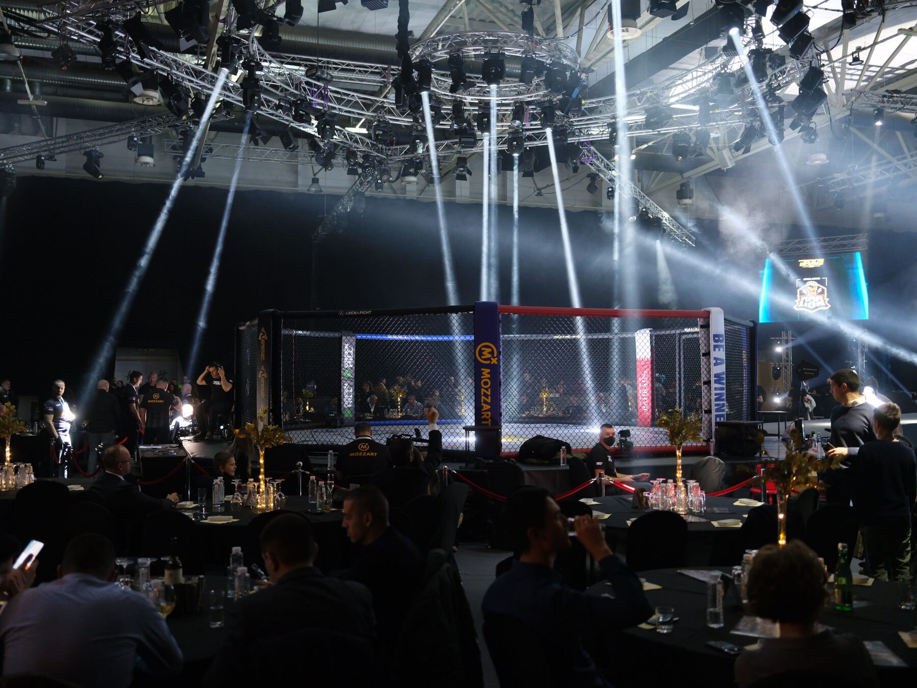 BRAVE CF — Competition MMA cage