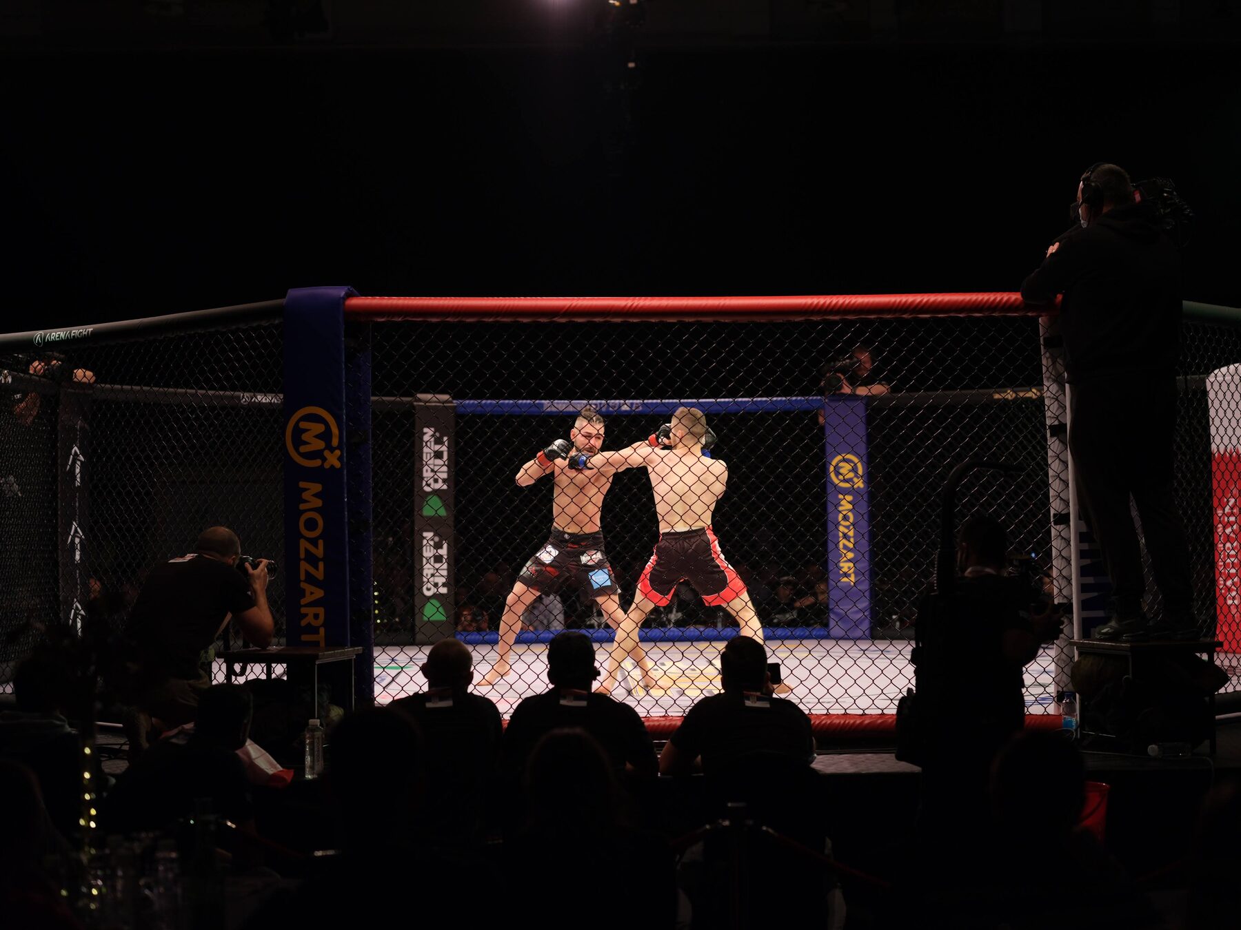 BRAVE CF — Competition MMA cage
