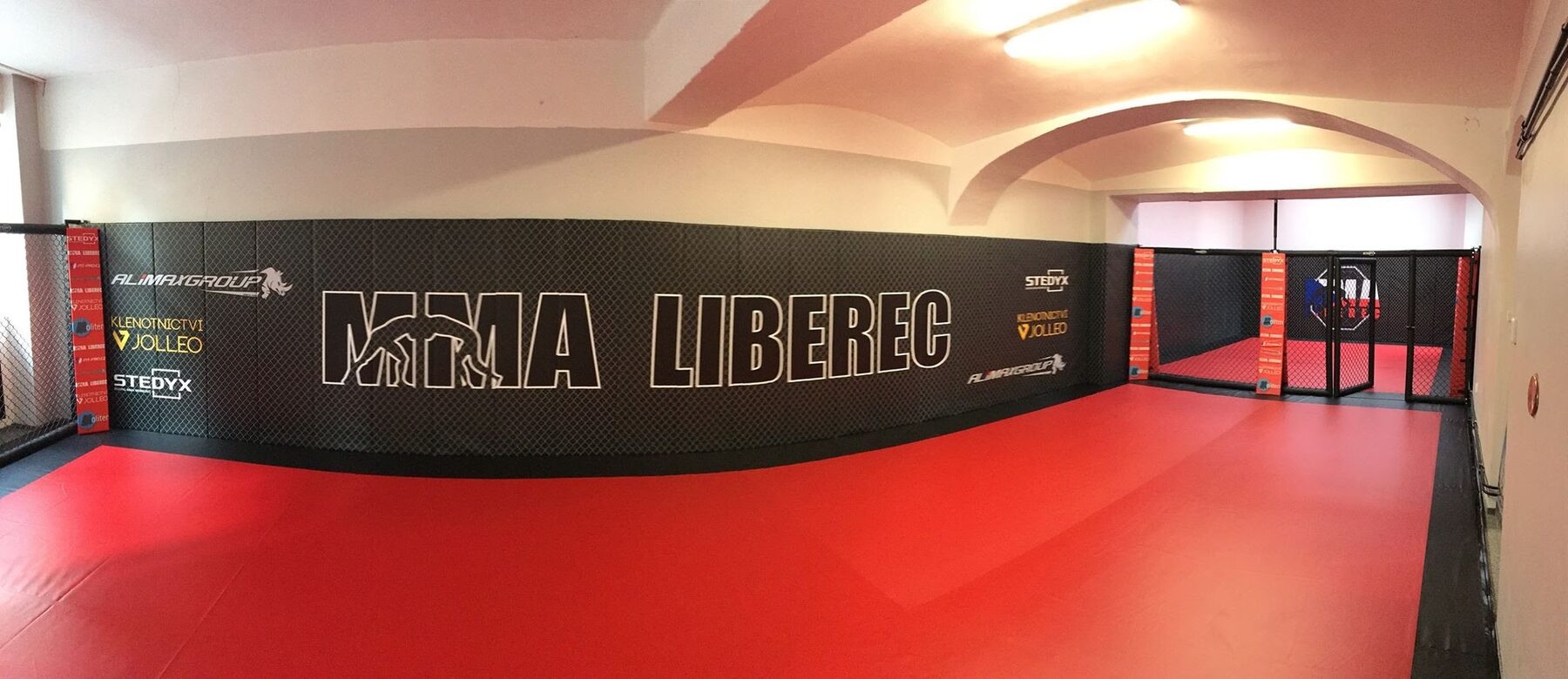 Boxing ring — Training gym