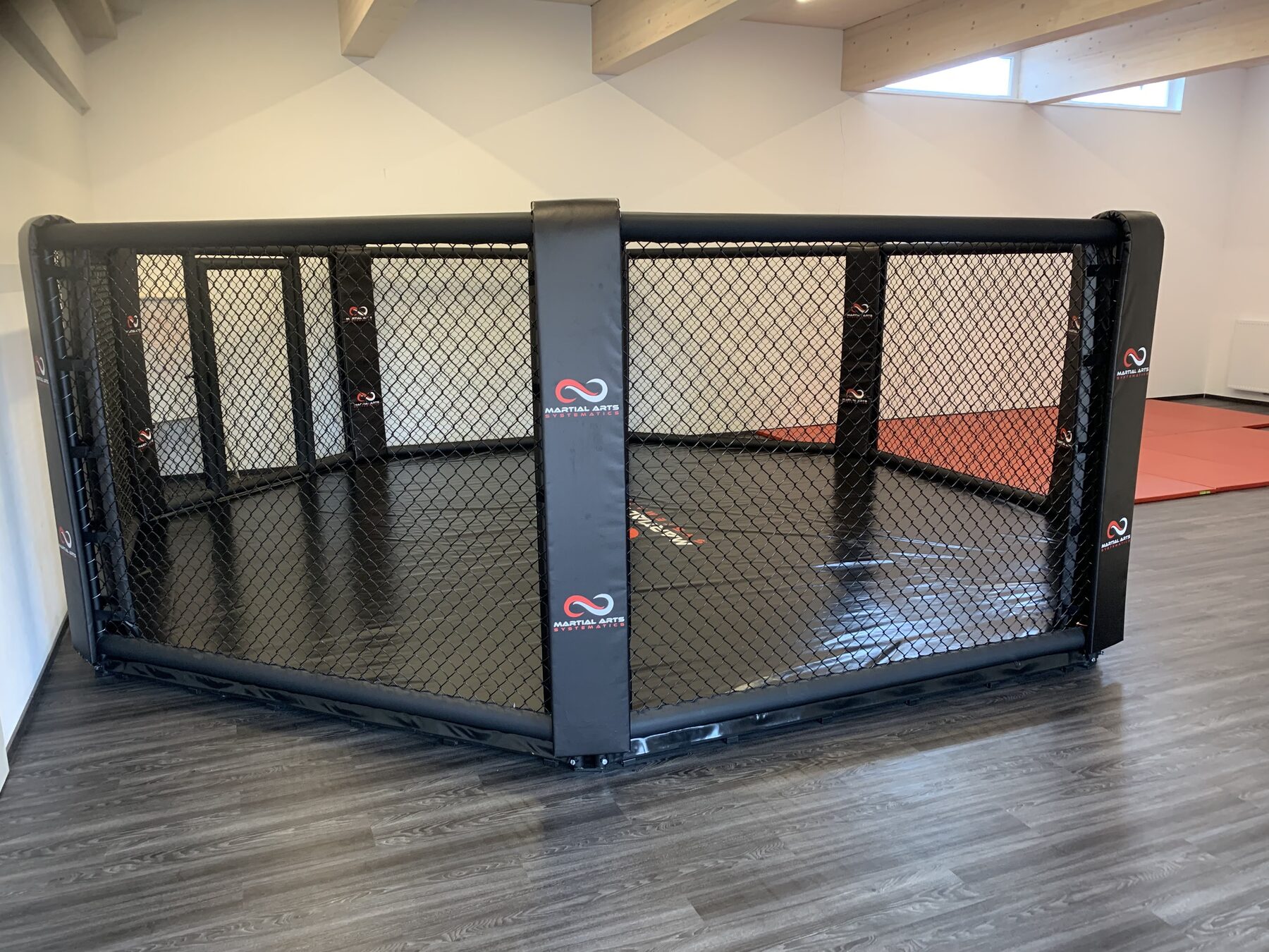 Martial Arts Systematics — Floor MMA octagon