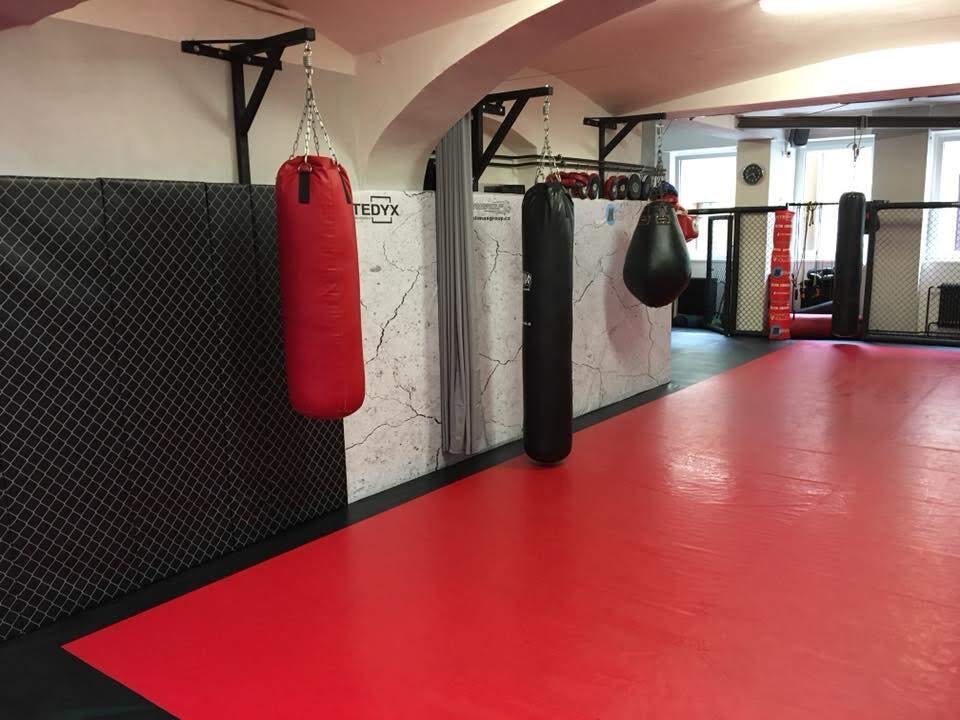 Boxing ring — Club installation