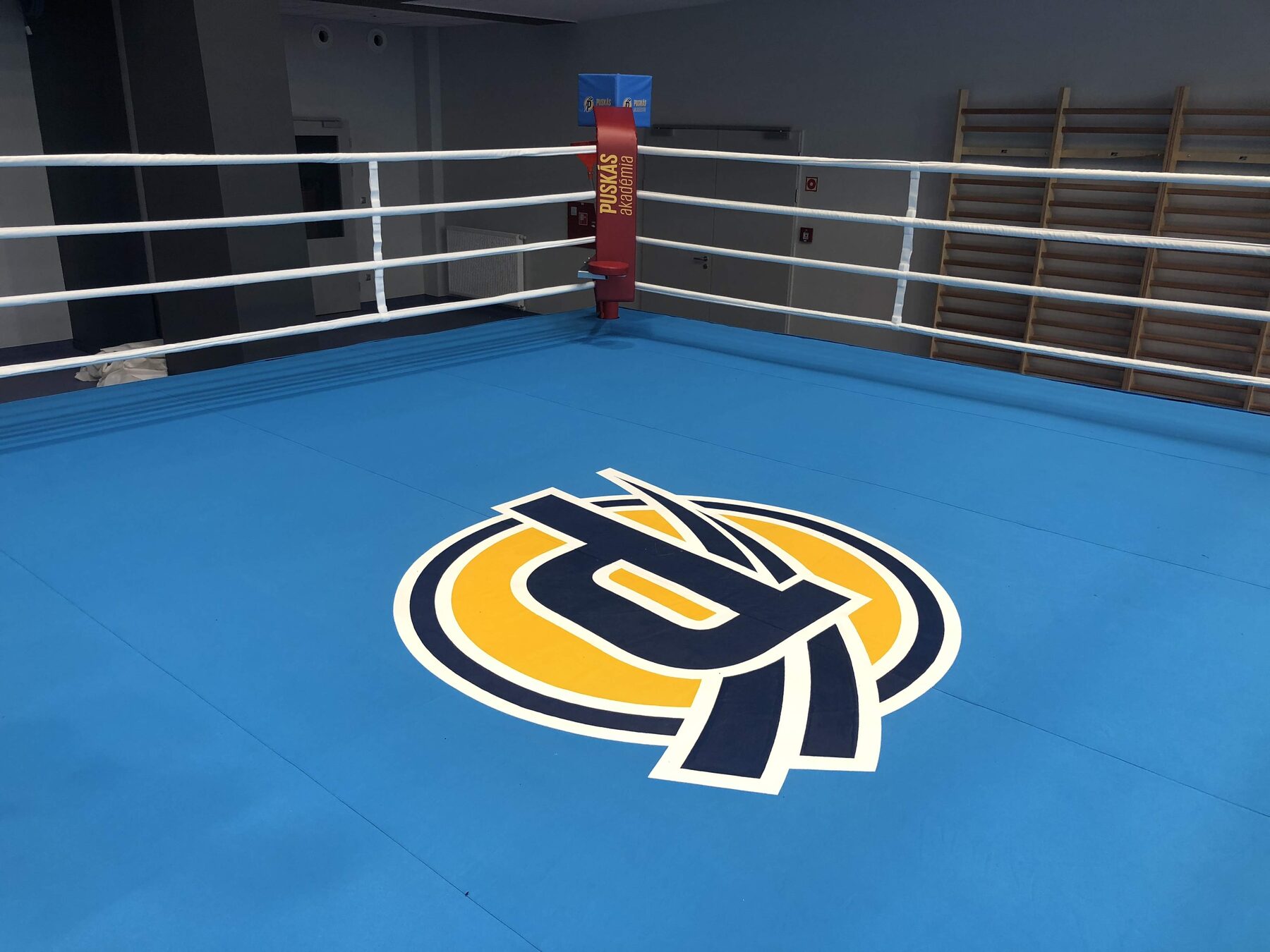 Boxing ring — Training gym