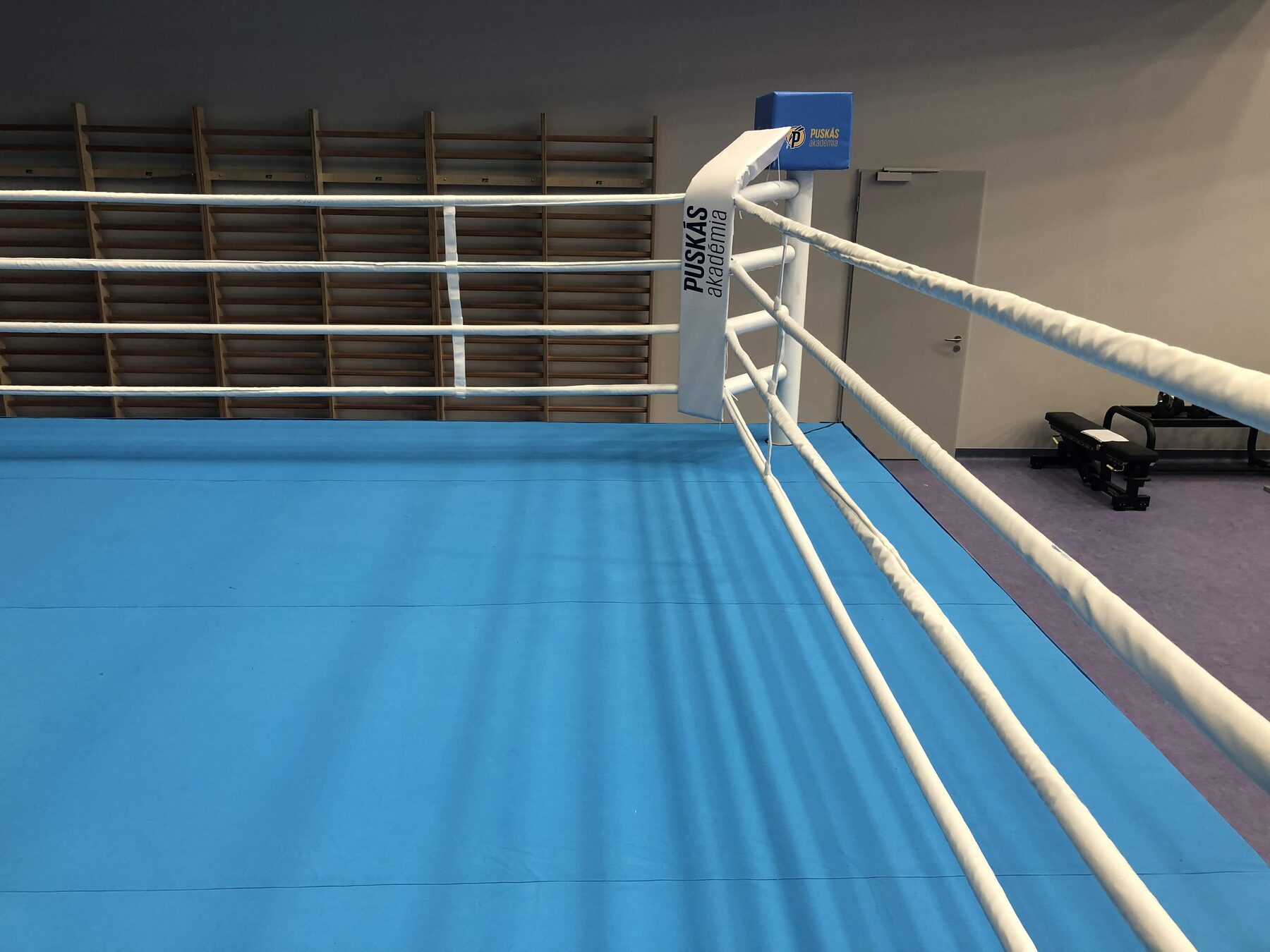 Boxing ring — Training gym