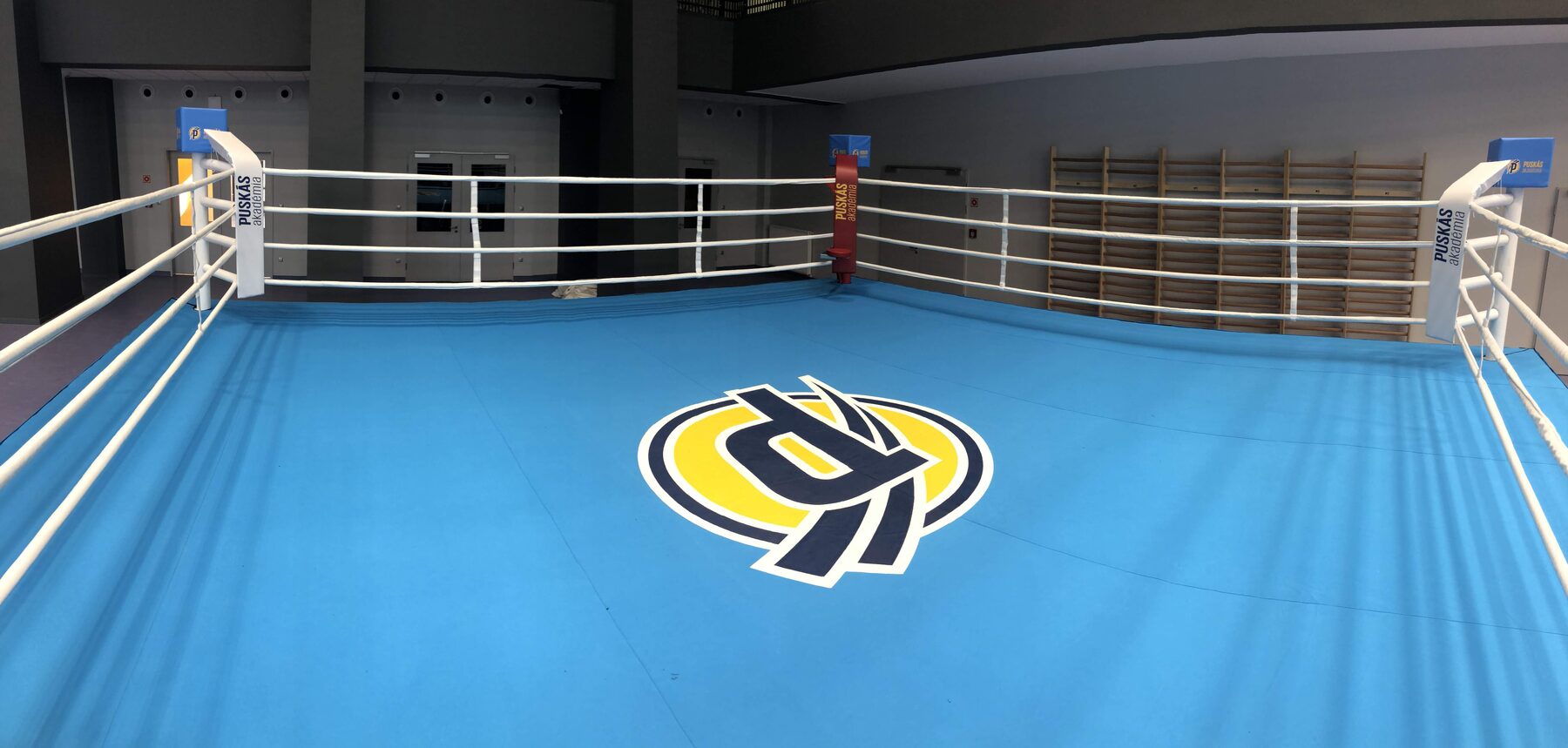 Boxing ring — Training gym