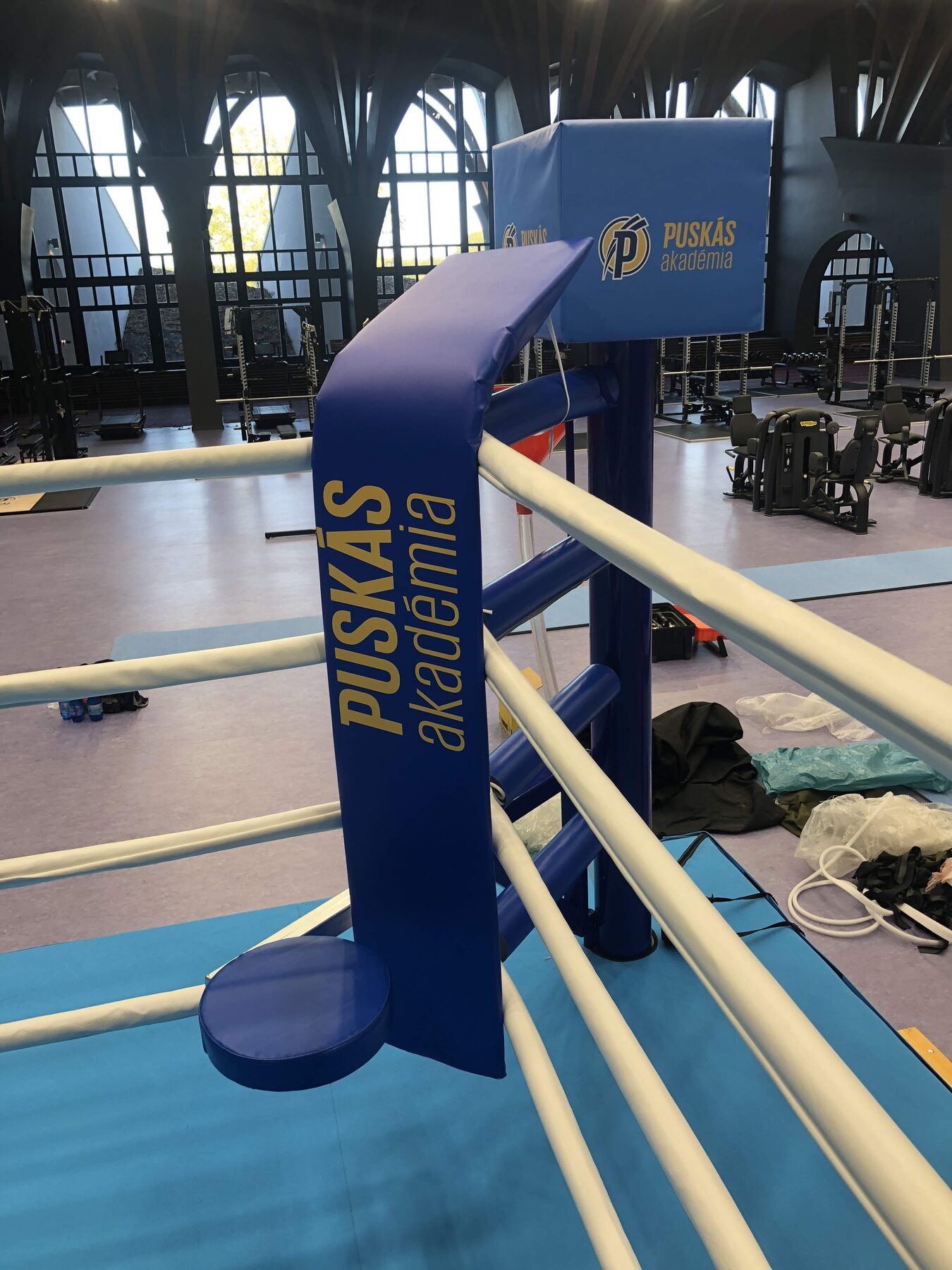Boxing ring — Training gym