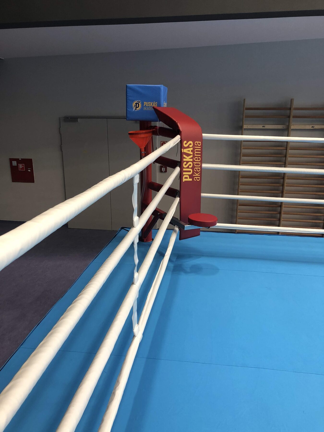 Boxing ring — Training gym