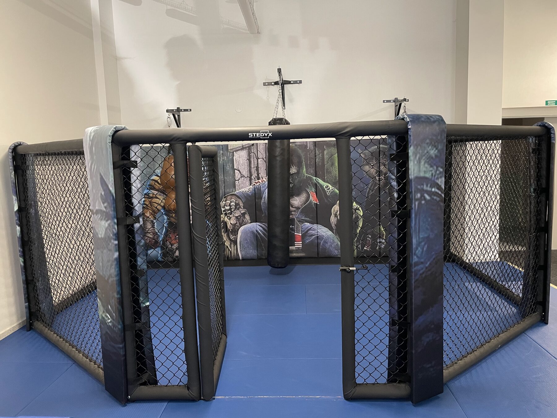 Boxing ring — Club installation