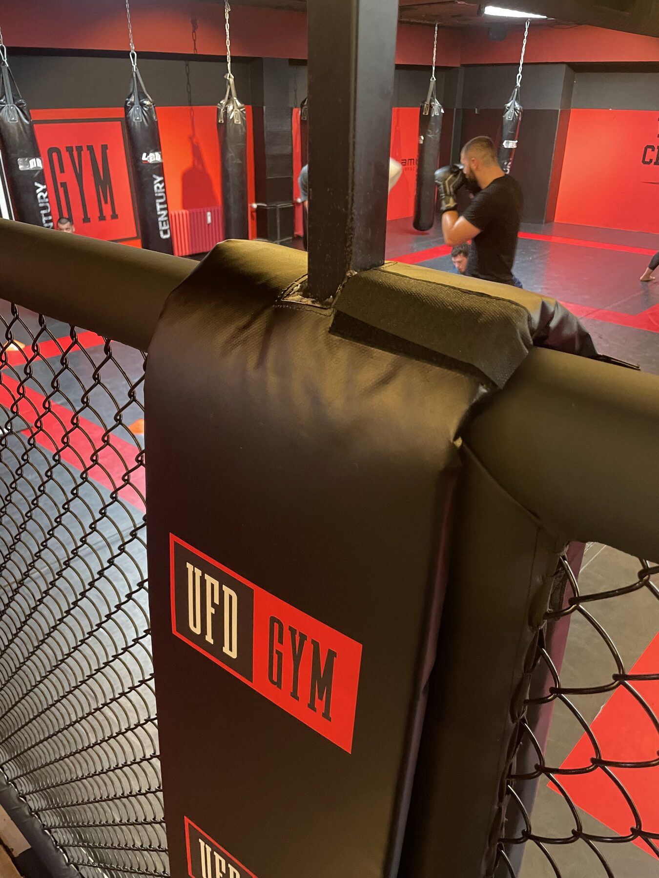 Boxing ring — Training gym