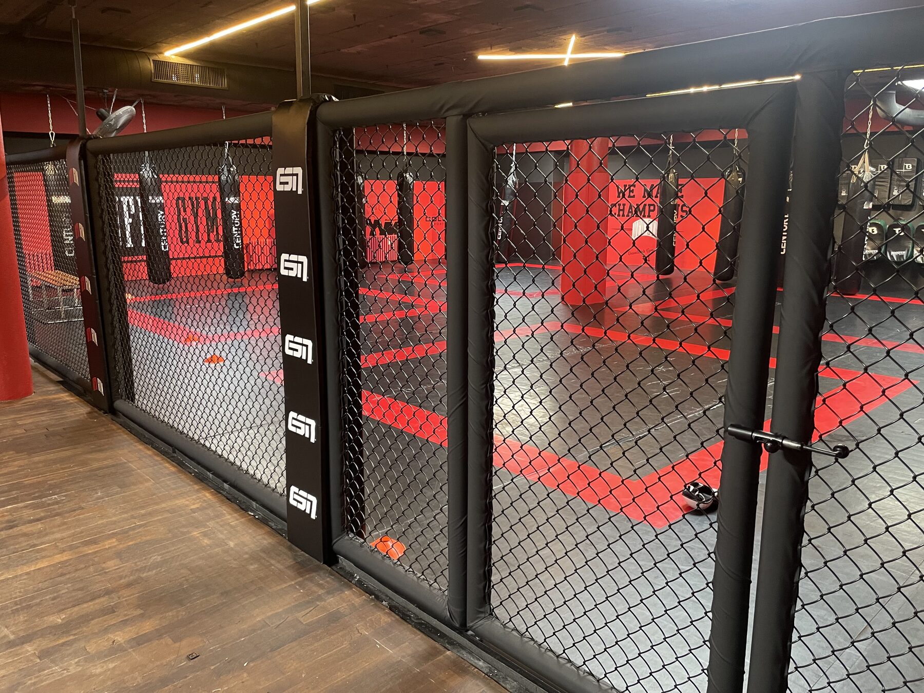 Boxing ring — Training gym