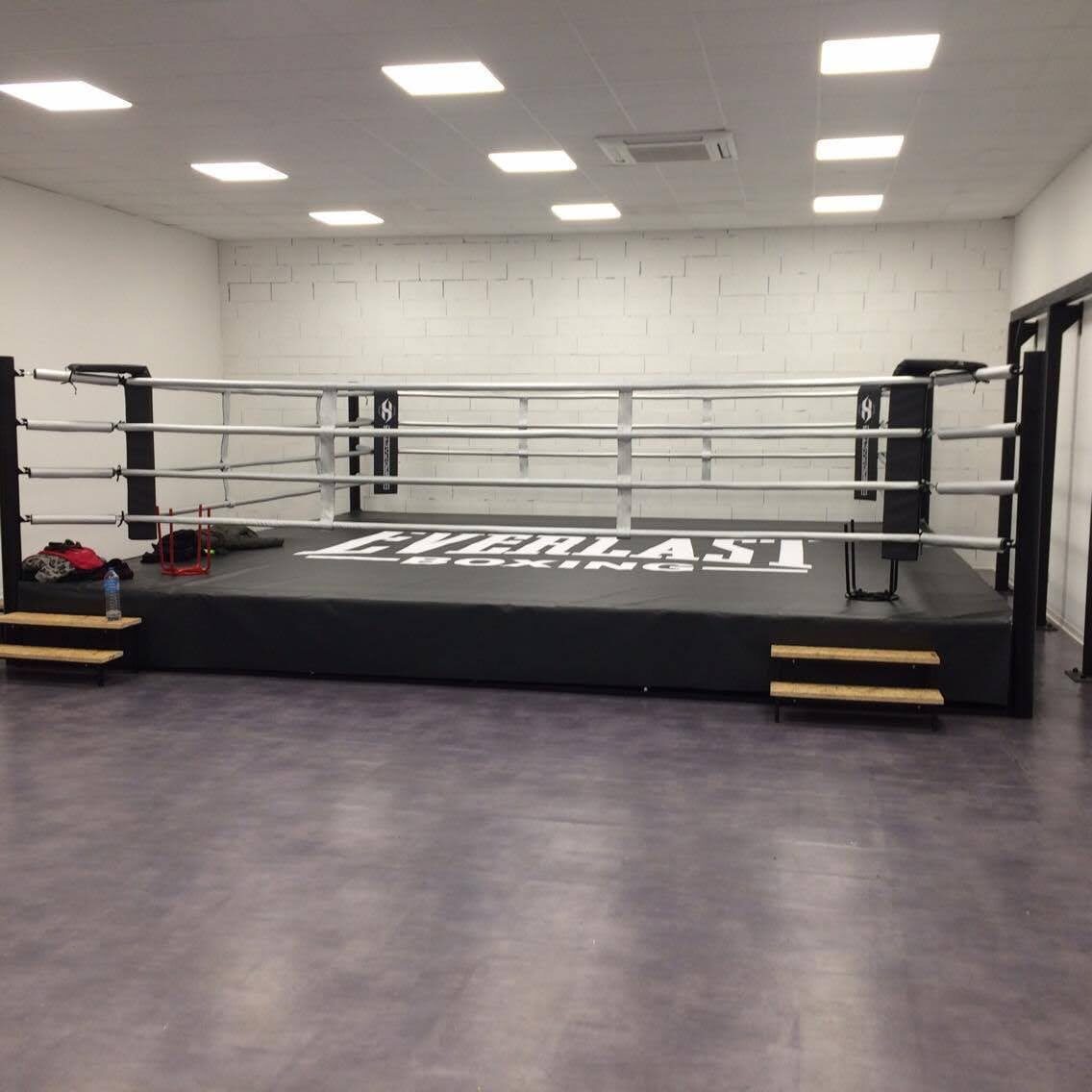 Hybrid Factor — Training MMA octagon